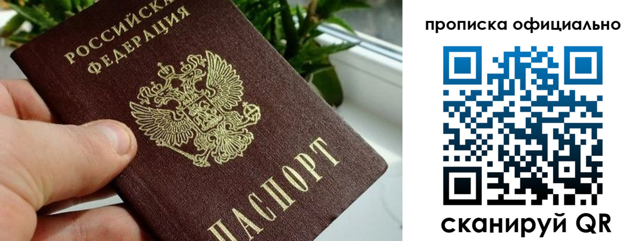 прописка поиск в Волгореченске